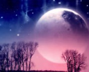 oeil_de_nuit